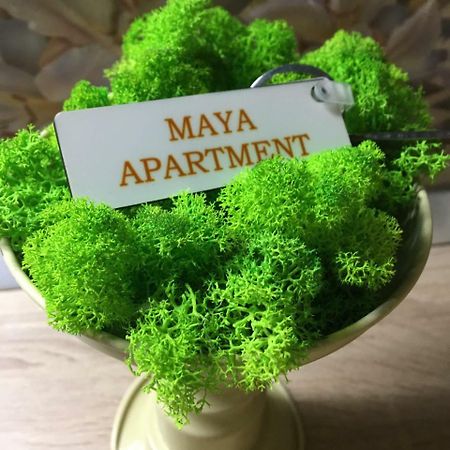 Maya Apartment Клуж-Напока Екстериор снимка