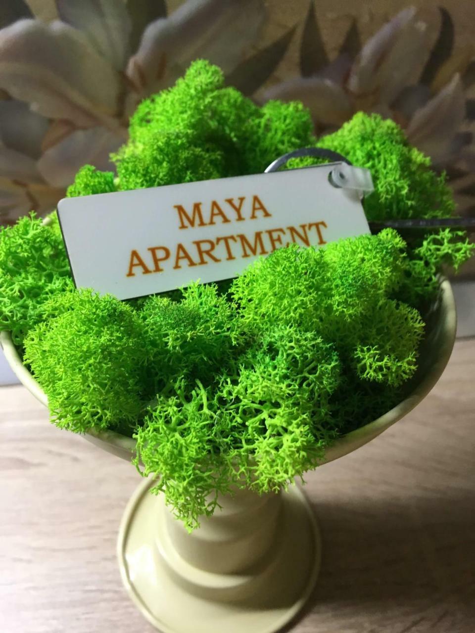 Maya Apartment Клуж-Напока Екстериор снимка